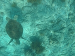 DCIM\100GOPRO\GOPR0234.JPG