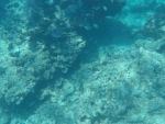 DCIM\100GOPRO\GOPR0235.JPG