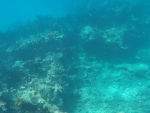 DCIM\100GOPRO\GOPR0236.JPG