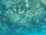 DCIM\100GOPRO\GOPR0237.JPG