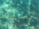 DCIM\100GOPRO\GOPR0238.JPG