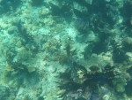 DCIM\100GOPRO\GOPR0239.JPG