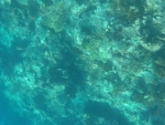 DCIM\100GOPRO\GOPR0240.JPG