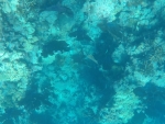DCIM\100GOPRO\GOPR0241.JPG
