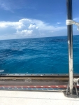 IMG_2362