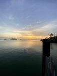 IMG_2566
