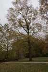 DSC02503