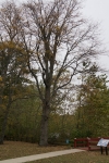 DSC02504