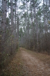 DSC02601