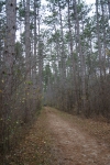 DSC02602