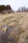 DSC0550