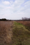 DSC0551