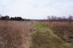 DSC0552