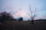 DSC0558