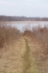 _DSC0540