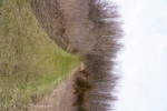 _DSC0541