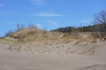 DSC1088