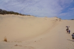 DSC1093