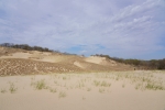 DSC1107
