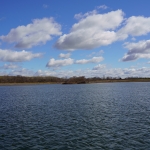 DSC5701