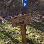 DSC5746