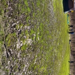DSC5750