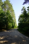 DSC2399