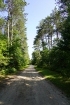 DSC2408