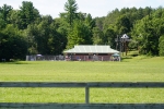 DSC2440