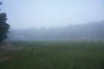 DSC2660