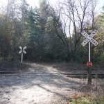 DSC4317