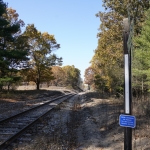DSC4320