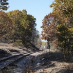 DSC4321