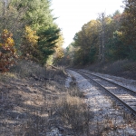 DSC4323