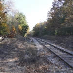 DSC4324