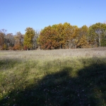 DSC4335
