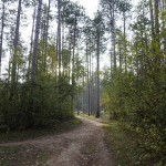 DSC4353