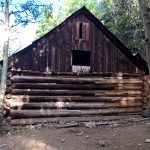 WP_20150719_07_41_11_Pro