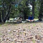 WP_20150719_12_57_27_Pro