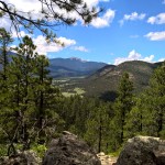 WP_20150721_14_29_39_Pro