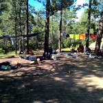 WP_20150721_16_44_35_Pro