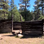 WP_20150721_16_45_03_Pro