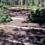 WP_20150725_10_42_45_Pro