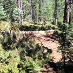 WP_20150725_10_43_27_Pro