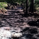 WP_20150725_10_43_41_Pro