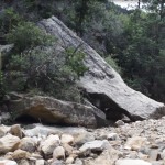 Washout